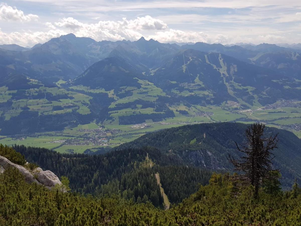 Haus Izabella Lägenhet Filzmoos Exteriör bild
